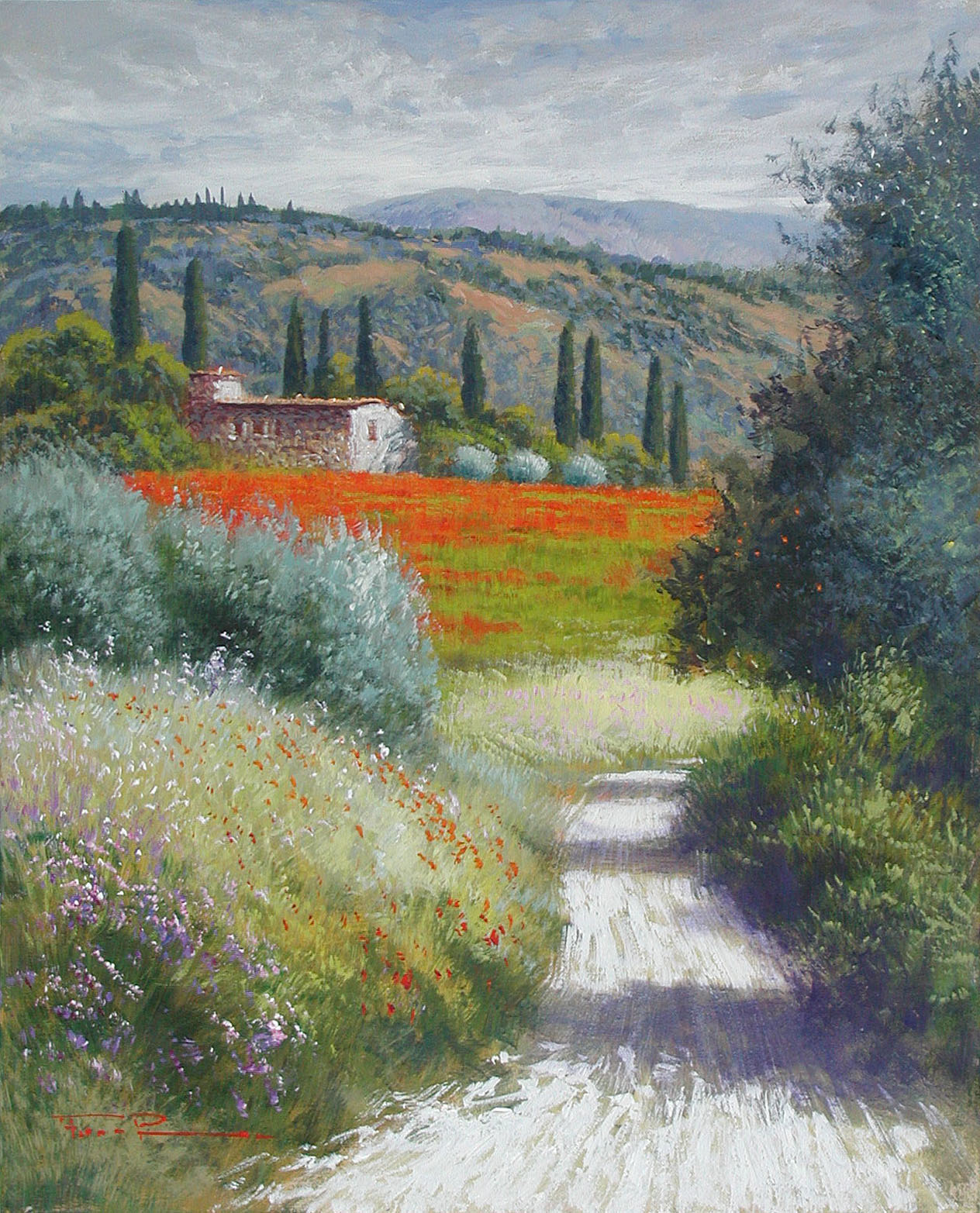 Raffaele Fiore F2.2419 Campo di papaveri cm. 50x40