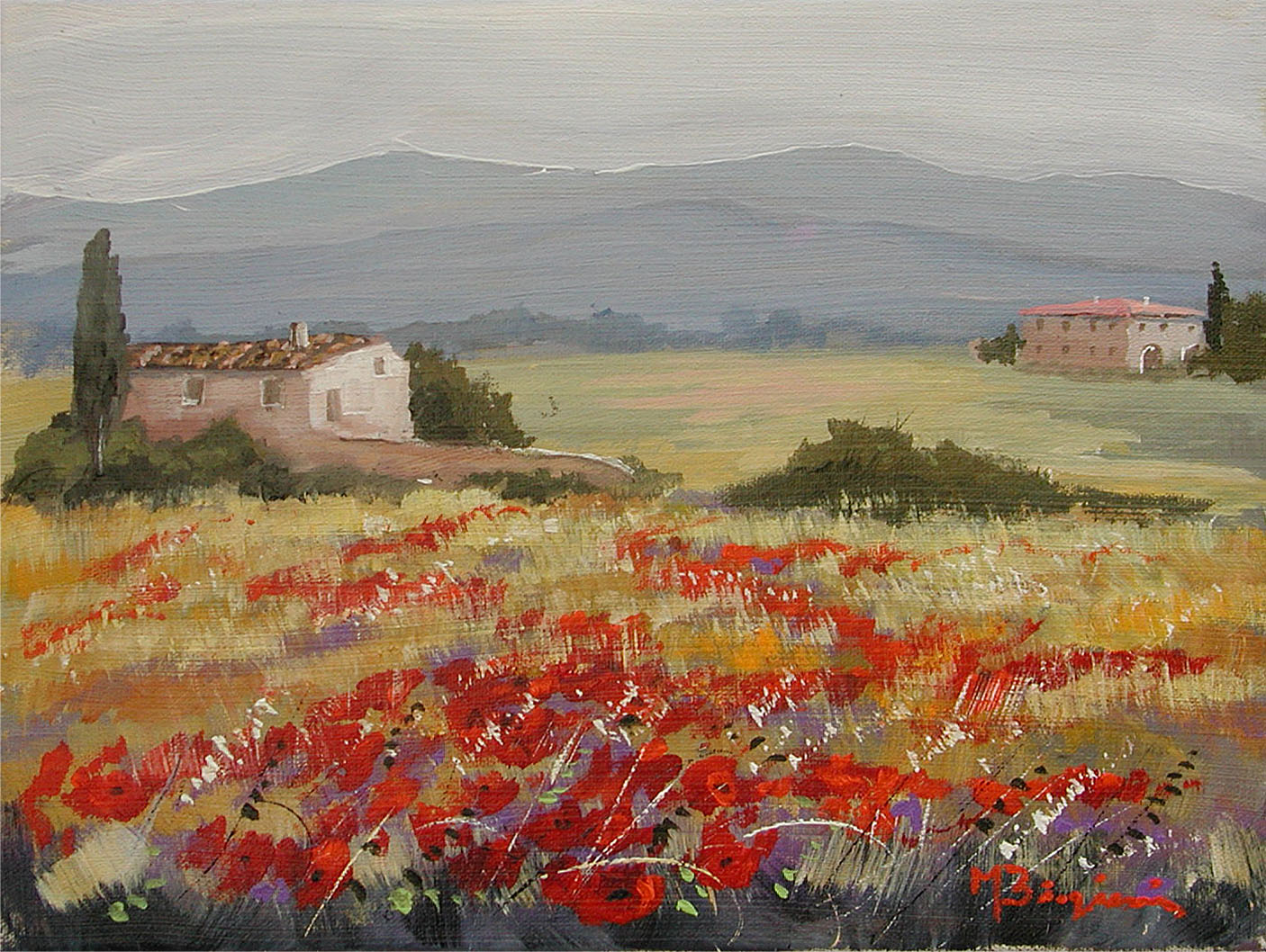 Maurizio Biagioni B2.2309 Papaveri in fiore cm 30x40