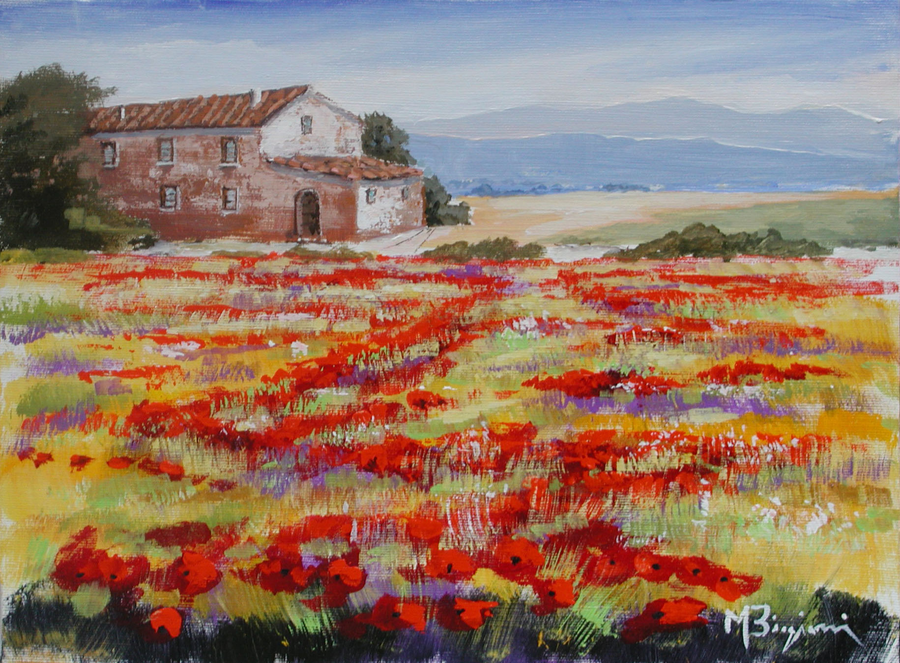 Maurizio Biagioni B2.2422 Campo fiorito cm 30x40