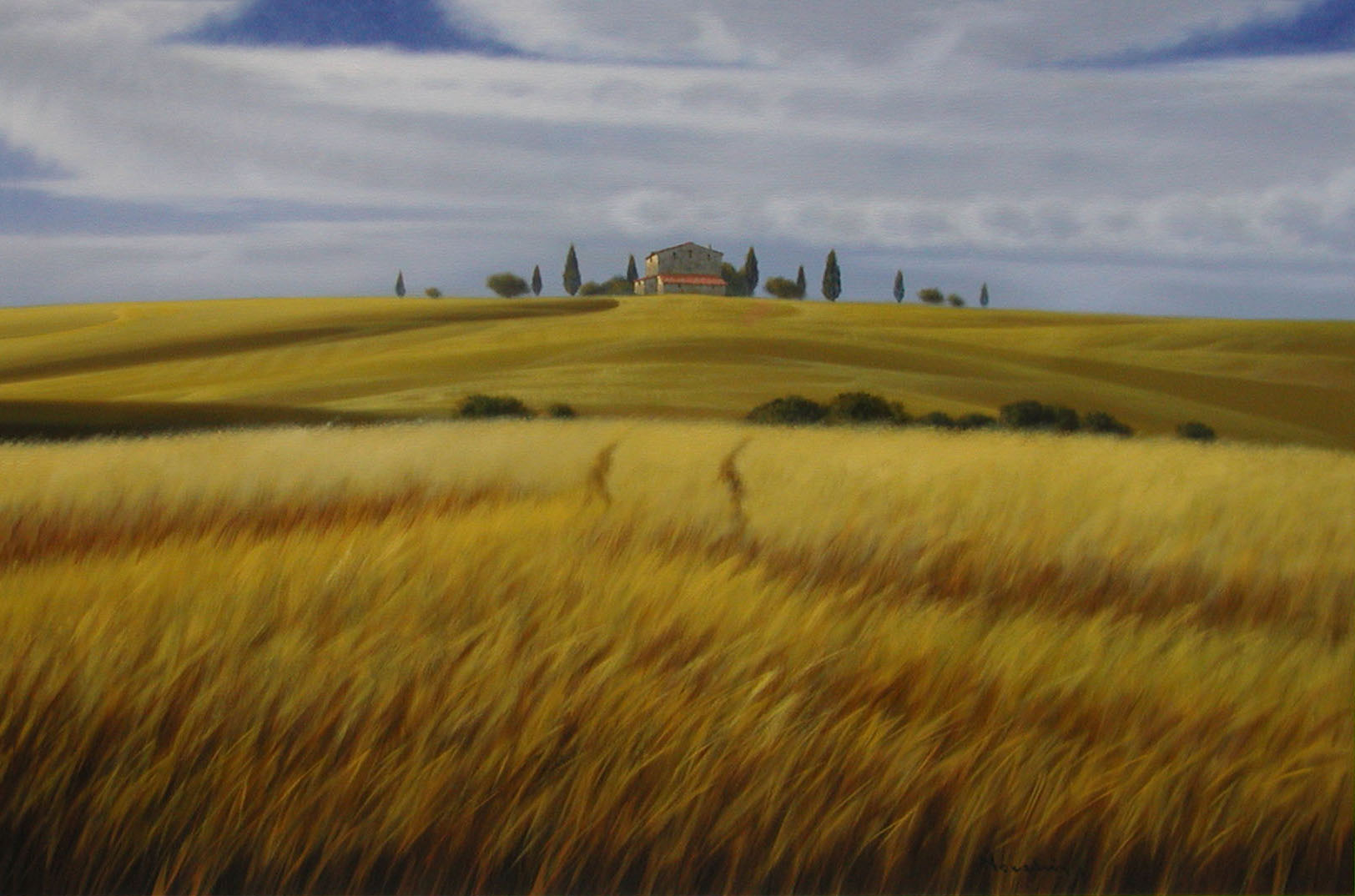 Massimiliano Nocchi N2.2401 La campagna toscana cm 80x120