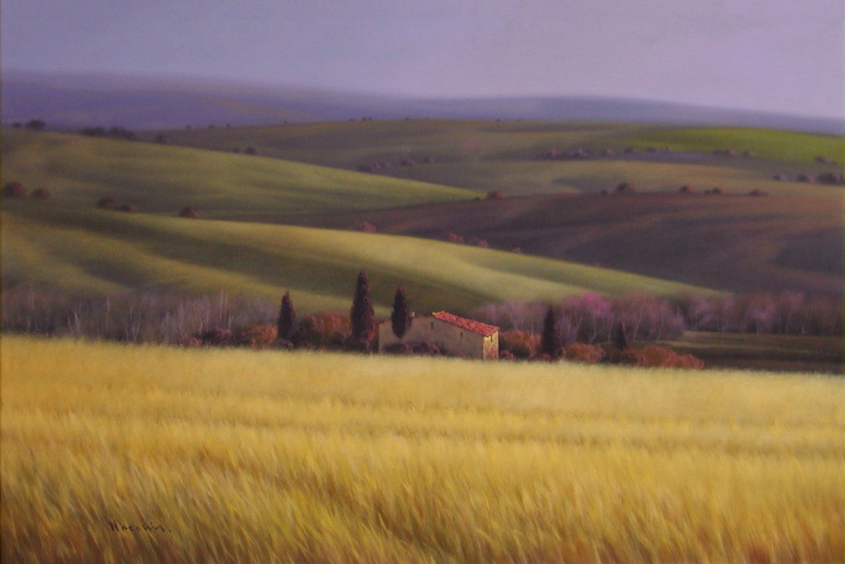 Massimiliano Nocchi N2.2502 La campagna toscana cm 80x120