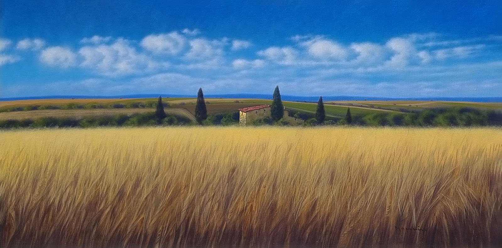 Massimiliano Nocchi N2.2504 La campagna toscana cm 60x120